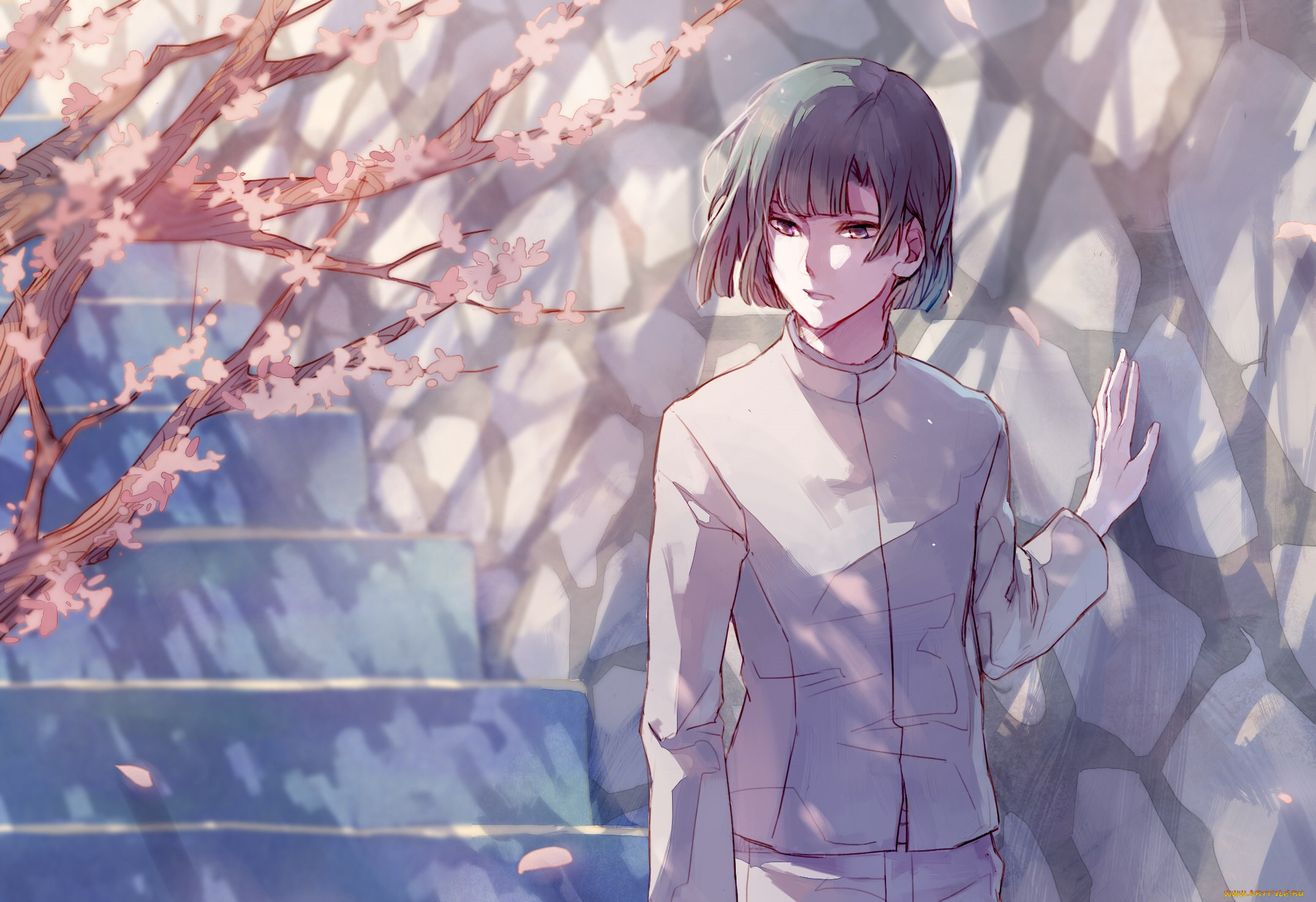, hikaru no go, 